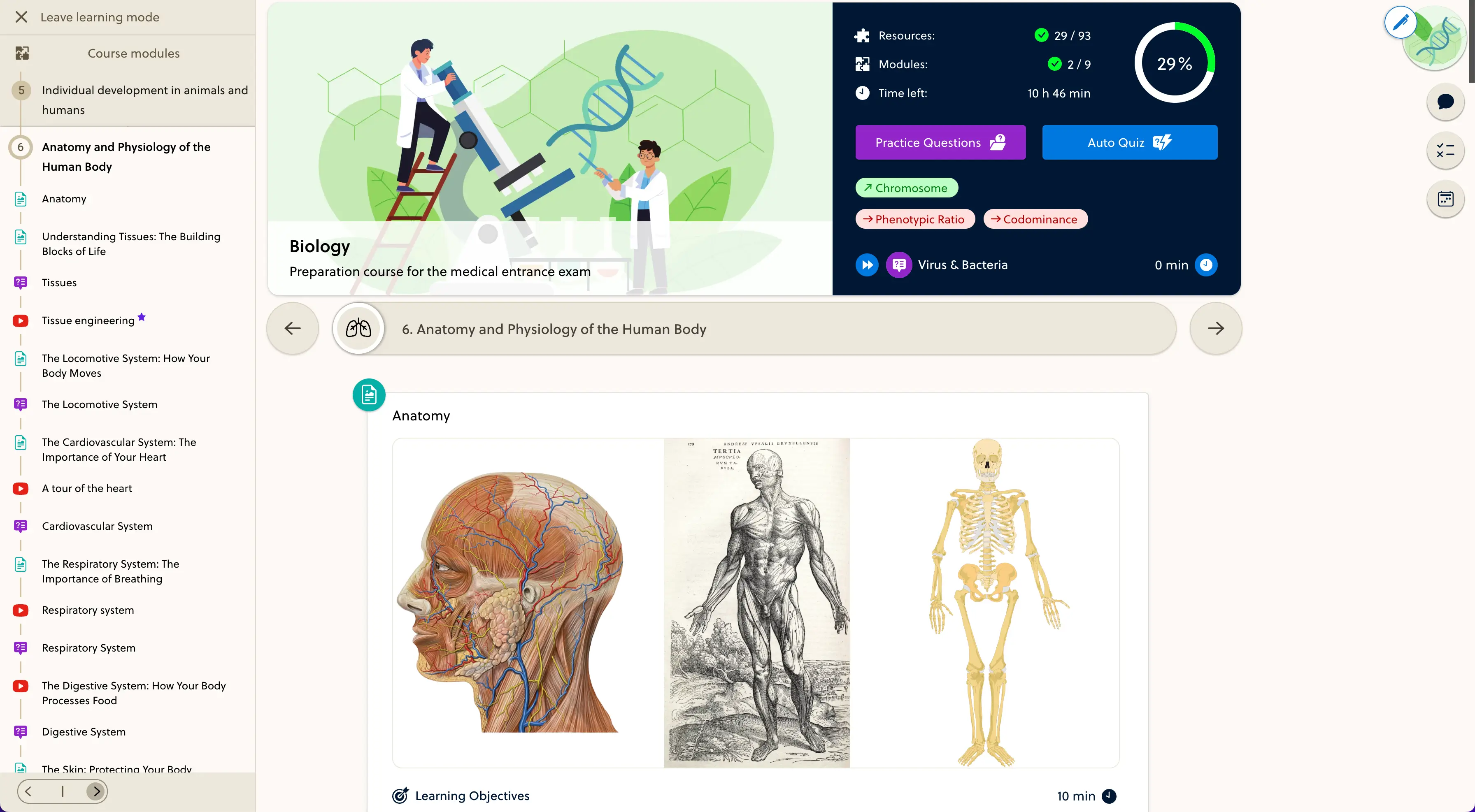 Medimentor structured online course