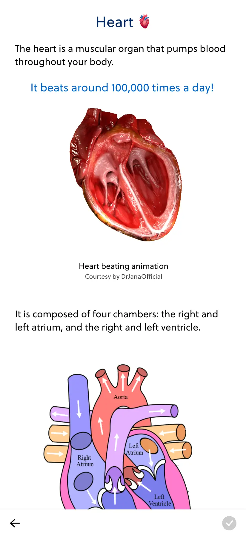 Screenshot of the Medimentor online learning platform preparing you for the entry test | entrance exam to Hungarian medical university